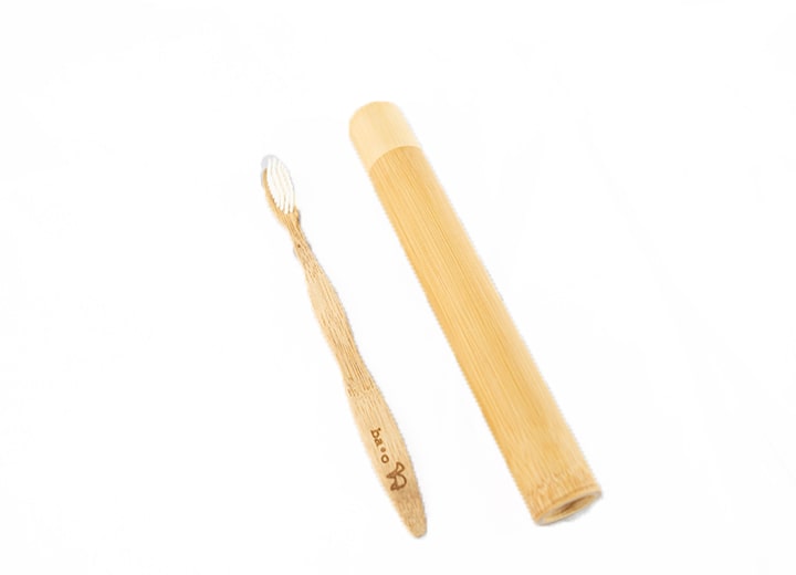 Bamboo Toothbrush With Case 1 Min 1